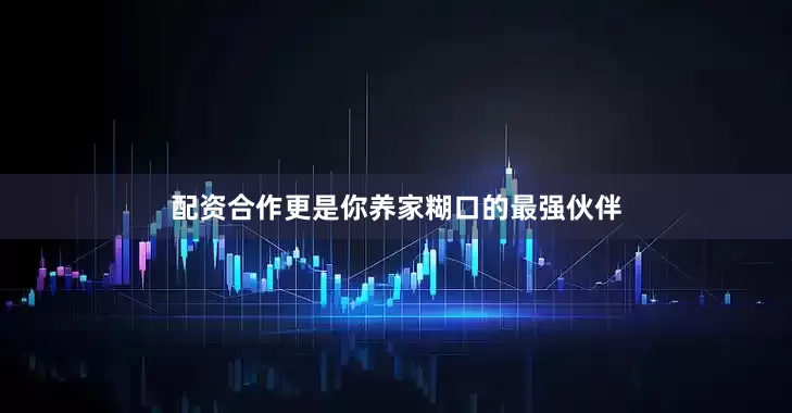 配资合作更是你养家糊口的最强伙伴