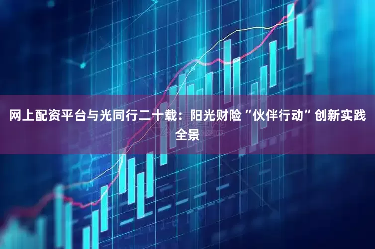 网上配资平台与光同行二十载：阳光财险“伙伴行动”创新实践全景